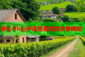 糖心Vlog中谁是最美的女神揭秘