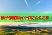 柚子猫的糖心日常探秘之旅