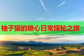 柚子猫的糖心日常探秘之旅
