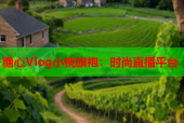 糖心Vlog小桃旗袍：时尚直播平台