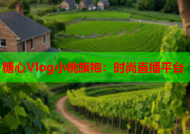 糖心Vlog小桃旗袍：时尚直播平台