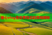 糖心vlog变收费背后的真相揭秘