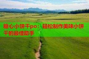 糖心小饼干po：轻松制作美味小饼干的最佳助手
