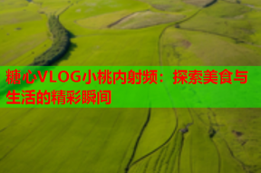 糖心VLOG小桃内射频：探索美食与生活的精彩瞬间