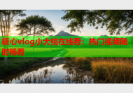 糖心vlog小大桃在线看：热门视频随时畅看