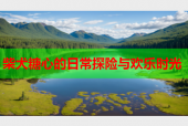 柴犬糖心的日常探险与欢乐时光