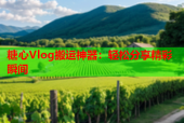 糖心Vlog搬运神器：轻松分享精彩瞬间