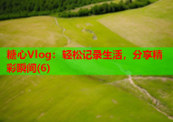 糖心Vlog：轻松记录生活，分享精彩瞬间(6)