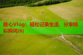 糖心Vlog：轻松记录生活，分享精彩瞬间(6)