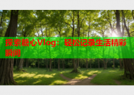 探索糖心Vlog：轻松记录生活精彩瞬间