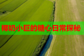 椰奶小巨的糖心日常探秘
