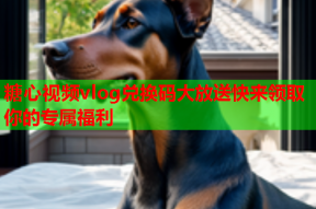 糖心视频vlog兑换码大放送快来领取你的专属福利