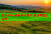 糖心Vlog精彩瞬间合集 生活中的小确幸