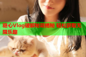 糖心Vlog破解秘籍揭秘 轻松获取无限乐趣