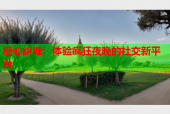 糖心纠缠：体验疯狂夜晚的社交新平台