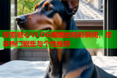 探索糖心VLOG娜娜的精彩瞬间，尽享热门剧集与个性推荐