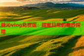 糖沁vlog免费版：甜蜜日常的奇妙探险