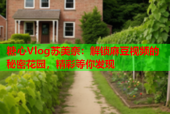 糖心Vlog苏美奈：解锁麻豆视频的秘密花园，精彩等你发现