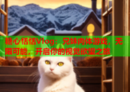 糖心恬恬Vlog：兄妹肉体游戏，无限可能，开启你的视觉欲望之旅