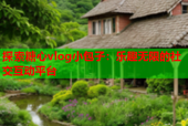 探索糖心vlog小包子：乐趣无限的社交互动平台