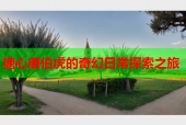 糖心唐伯虎的奇幻日常探索之旅
