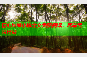 糖心纠缠小说全文免费阅读，尽享无限精彩