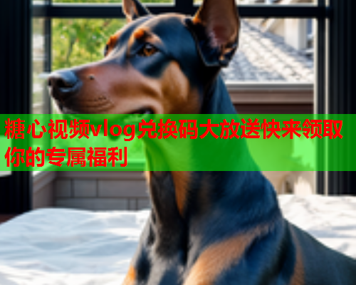 糖心视频vlog兑换码大放送快来领取你的专属福利  第1张