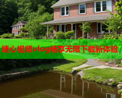 糖心视频vlog畅享无限下载新体验  第2张
