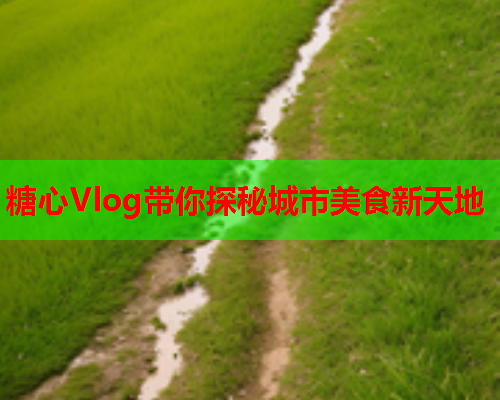 糖心Vlog带你探秘城市美食新天地  第2张