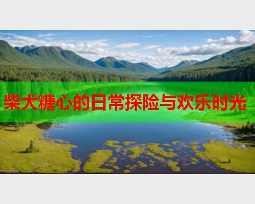 柴犬糖心的日常探险与欢乐时光  第1张