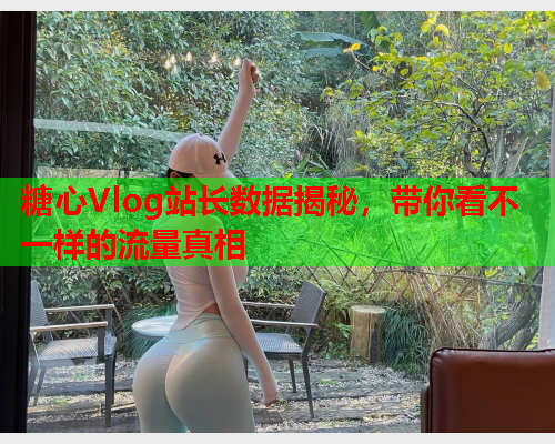 糖心Vlog站长数据揭秘，带你看不一样的流量真相  第2张