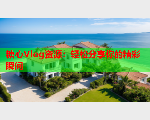 糖心Vlog资源：轻松分享你的精彩瞬间  第1张