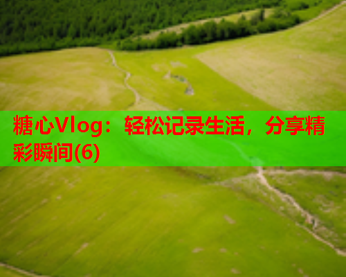 糖心Vlog：轻松记录生活，分享精彩瞬间(6)  第1张