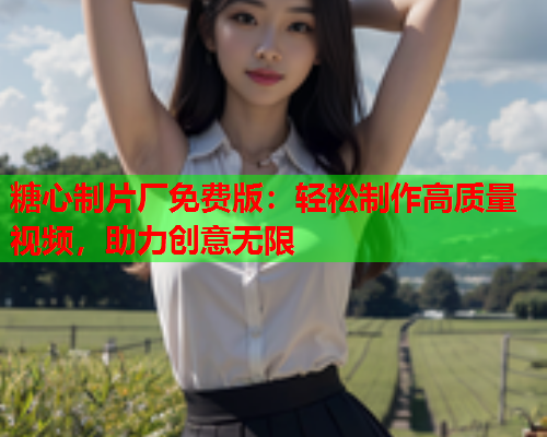 糖心制片厂免费版：轻松制作高质量视频，助力创意无限  第2张